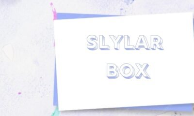 Slylar box