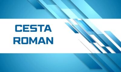 Cesta roman
