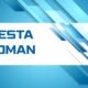 Cesta roman