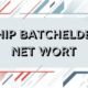 Chip batchelder net wort