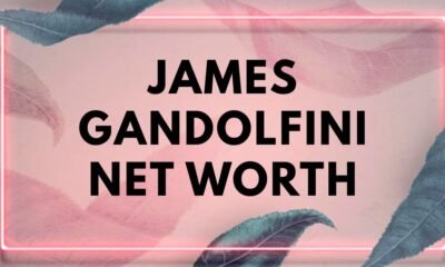James gandolfini net worth