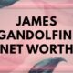 James gandolfini net worth