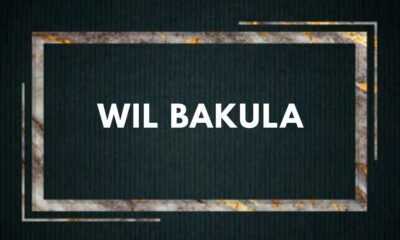 wil bakula